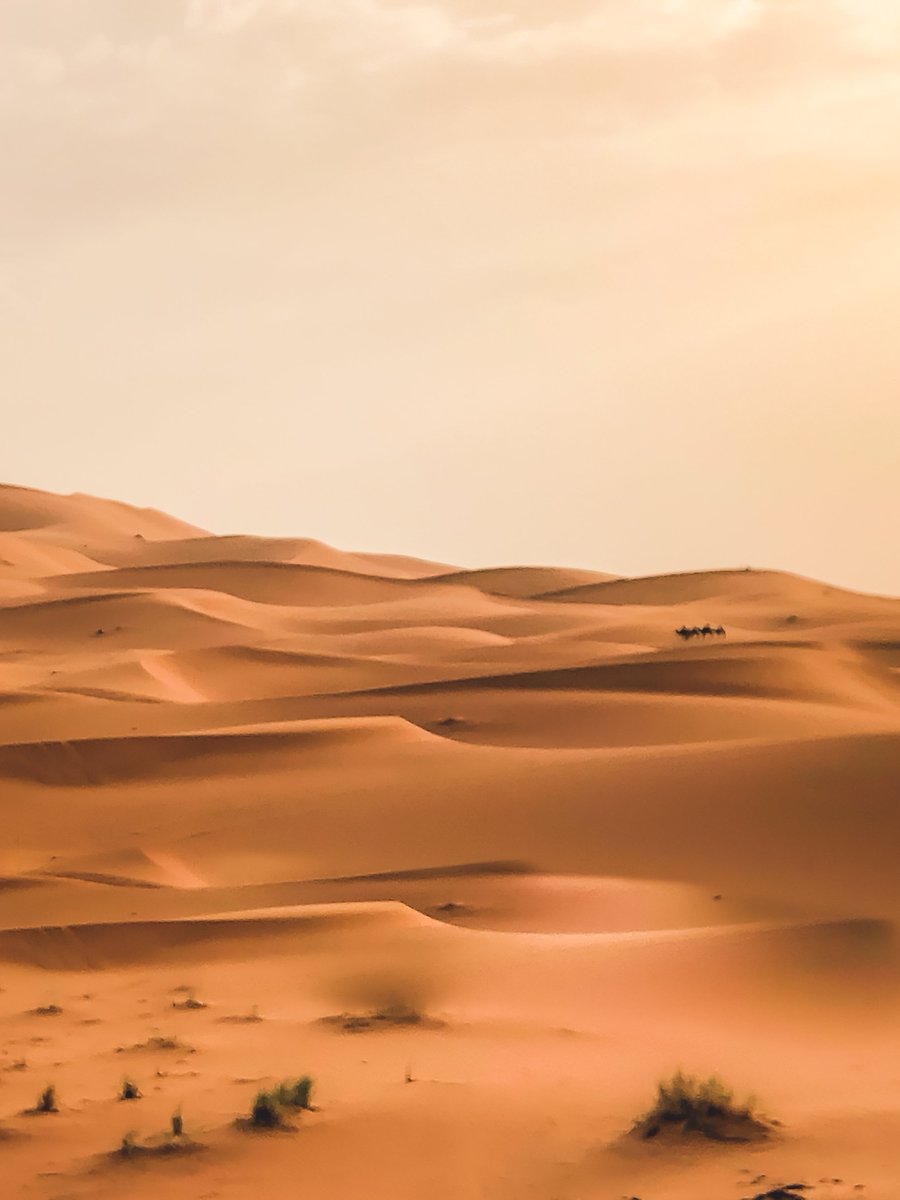 entre2escales's tweet photo. Vous aimeriez passer la nuit dans le désert du Sahara? 

Et dire qu'il y a un mois on admirait les paysages quasi-arctiques de la Côte-Nord. C'est ça la magie du voyage!

Sur la route avec @somoroccoltd ! #collab https://t.co/4GRgfkHToA