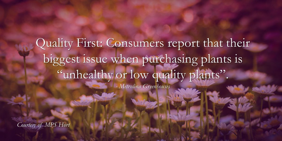 MPS_Hort's tweet photo. #plantchat #gardenchat #consumerinsight https://t.co/YfBP7jpTRs https://t.co/W9Me4r0Yzf