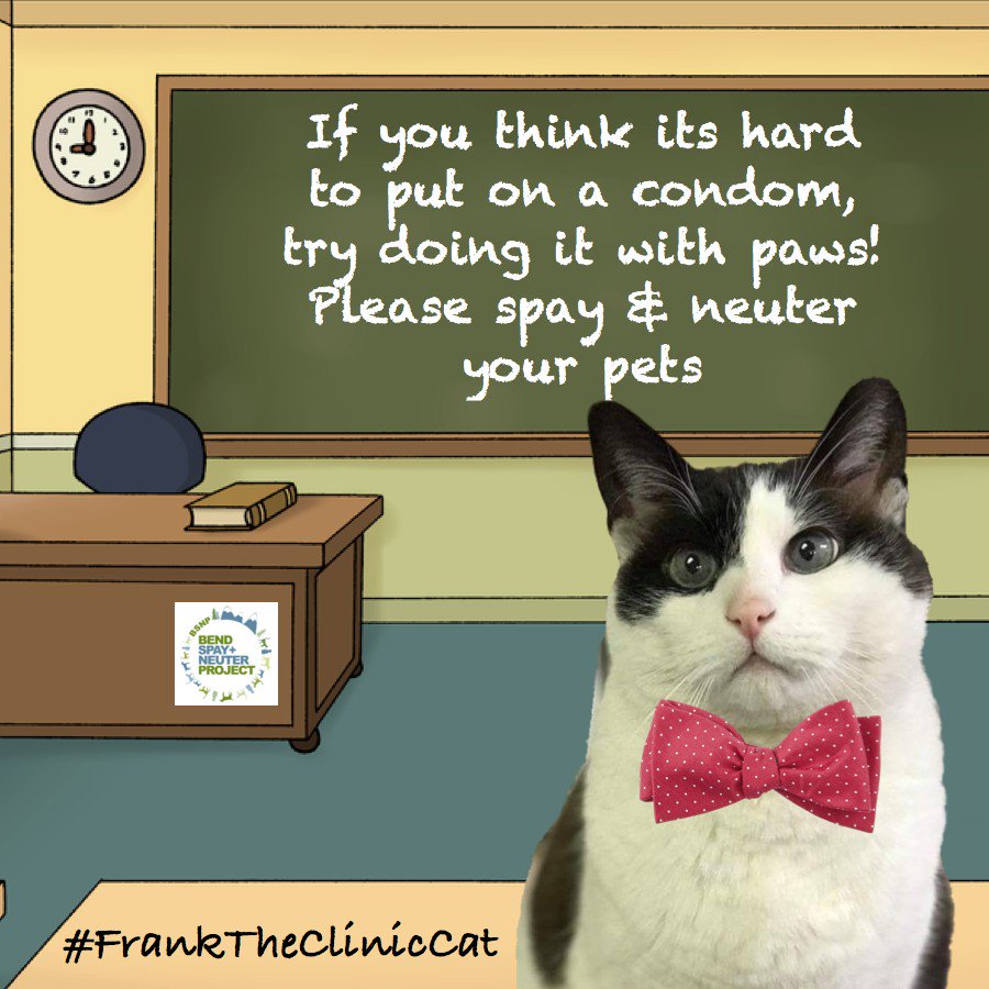 Bend Spay+Neuter tweet media