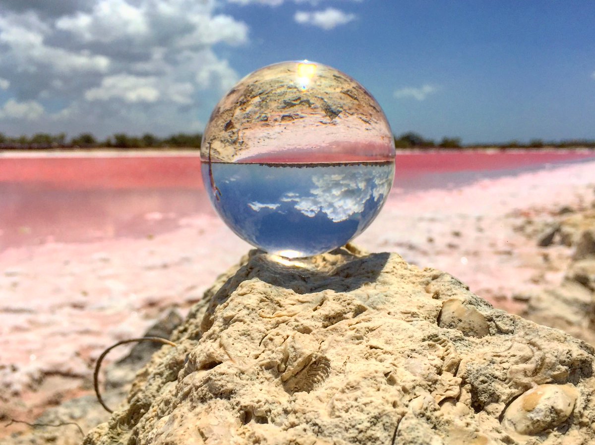ulisesortizb's tweet photo. “Un Viaje satisface más cuando deja de girar en torno a un destino concreto y empieza a ser parte indisoluble en nuestra vida”. #salinerasmayas #dzemul #yucatan #youcontent #visitmexico #visityucatan #yucatanvenportodo #redescubreyucatán #mexicoenunaimagen #mexicoenunafoto https://t.co/d3lok4fvii