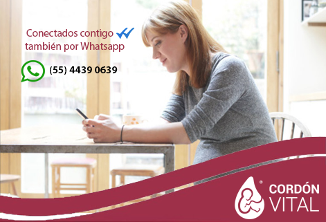 CordonVital's tweet photo. Así de rápido y sencillo. Añade nuestro número de teléfono  📞(55) 4439 0639 a tu lista de contactos de whatsapp y estaremos encantados de atenderte también por esa vía  😉 https://t.co/Jv8GtpaJmr