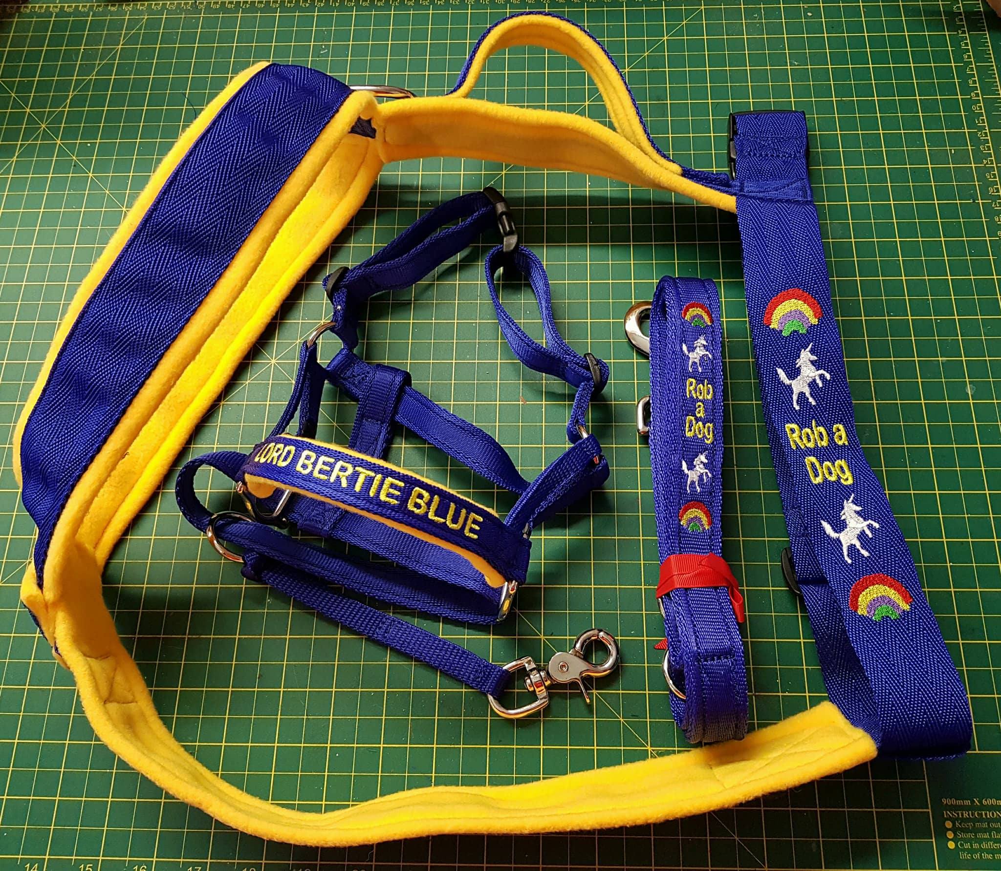 Big ed sales head collar