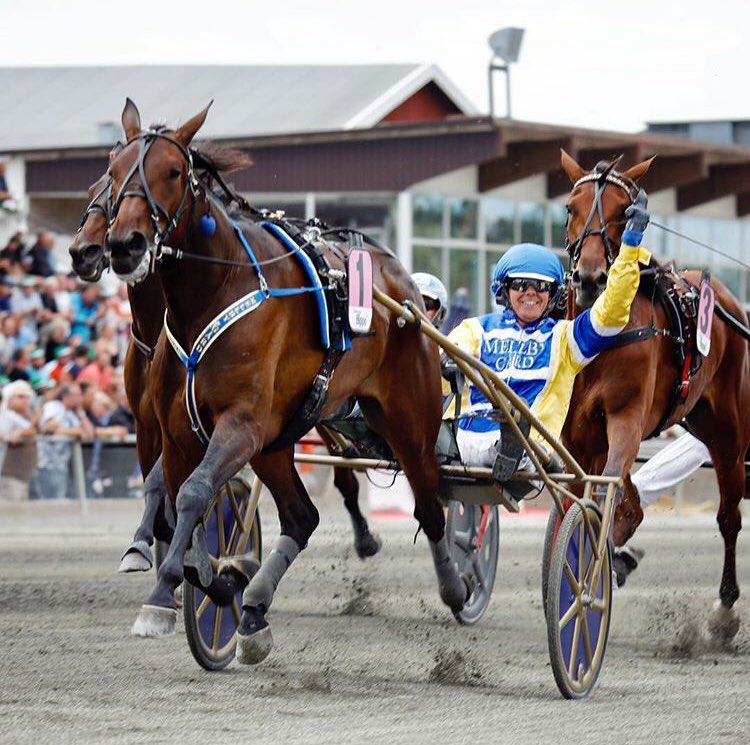 Joe_Zagari's tweet photo. #MellbyFree 🇸🇪#MuscleHill won #StoChampionatet 🏆 Group 1⃣ 🇸🇪 @axevallatravet #TheFinal 🏁with @goopbjorn ⏱️1.13.5 on 2640 over #VampKronos and #GlobalUpperStyle
📸Lena Emmoth https://t.co/SqLn0Sig39