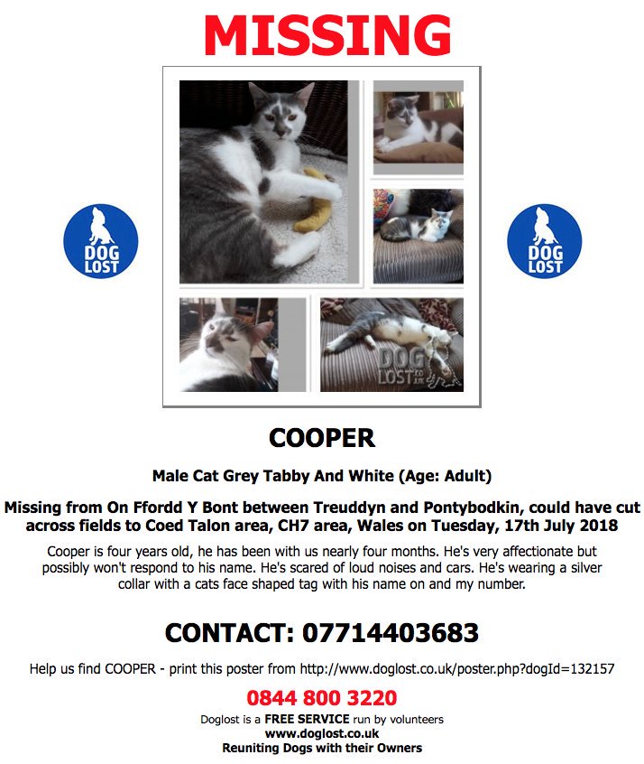 CatsMissing's tweet photo. #FindOurCooper #LostCat Vanished Tuesday 17/7/18 frm garden #Treuddyn #Pontybodkin #CoedTalon #CH7 Male Tabby/White/Grey
Silver collar+bell+name tag Neutered Chipped #ScanMe #MissingCatsUK@DoglostUK▶https://t.co/UGkAcISiXm
@AnimalSearchUK https://t.co/cH5UVASrgM @bachcountrycats https://t.co/lMLUtJVzZu
