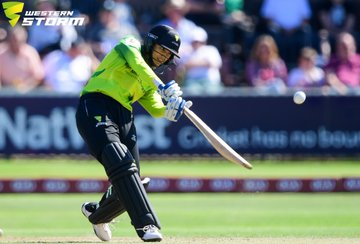 View image on Twitter