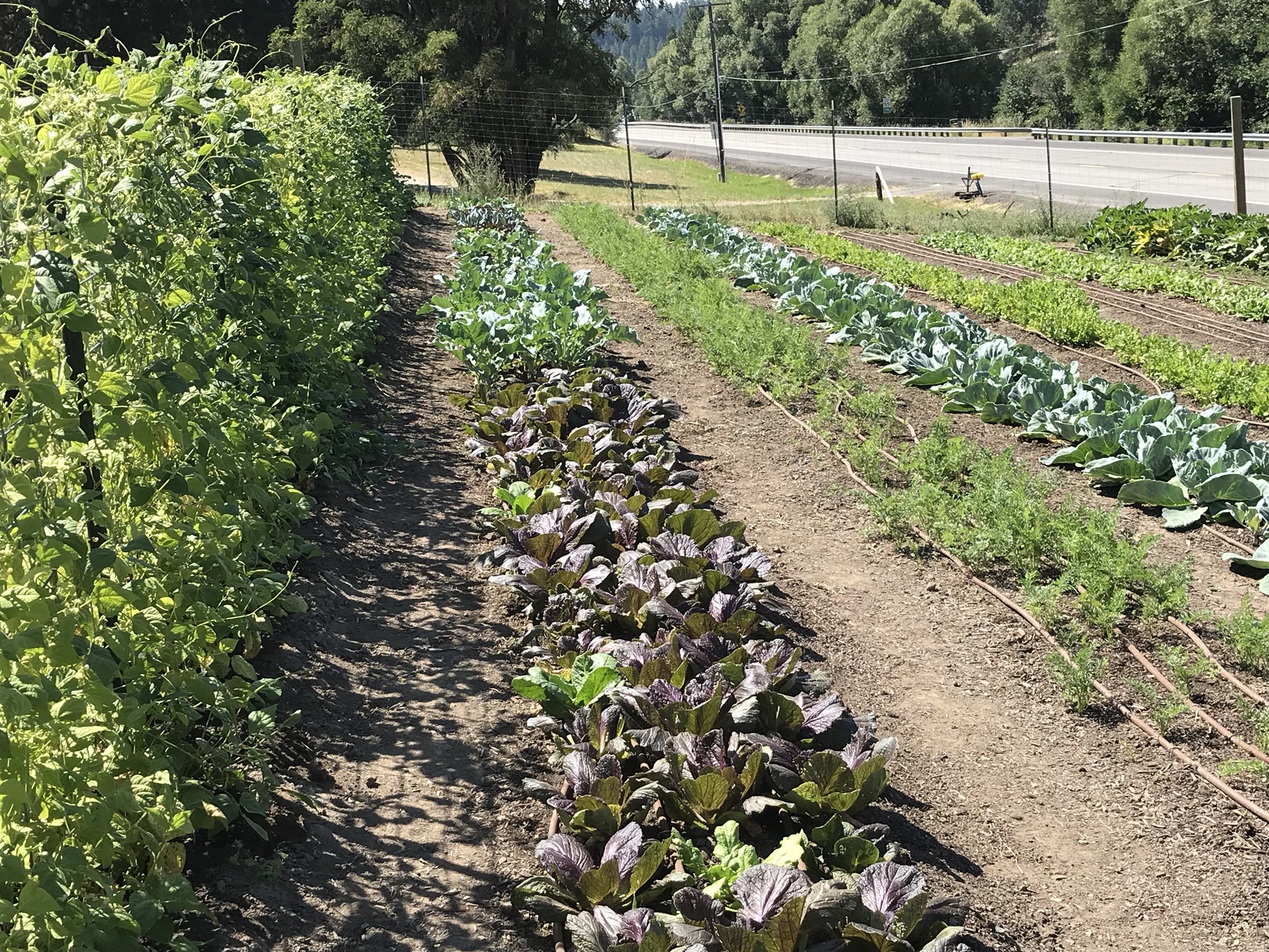 Craigslist Spokane Farm Garden - pgz18uv