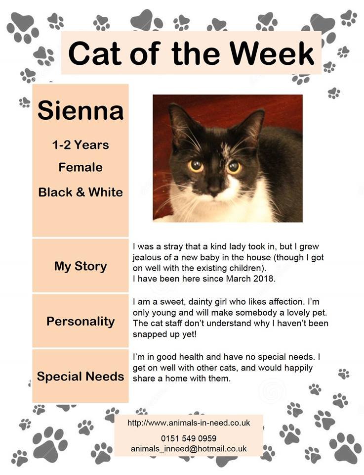 InNeedAnimals's tweet image. 