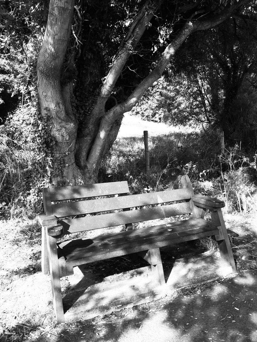 tarasmurf13's tweet photo. A B&amp;w photo of my life without explanation every day for 7 days. Day 7 Thanks @si_fell nominate @f1medic https://t.co/3wMVSo0W8M