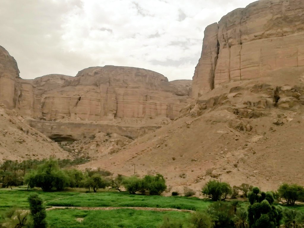 OMAR96201380's tweet photo. #على_شاطئ_البلدة 

#دوعـــــــــــْـــن

يامسجل أعجابك بعنوااان الغلاف
أركد وأقراء كل شي في المحتوى https://t.co/nDWD7EET7r