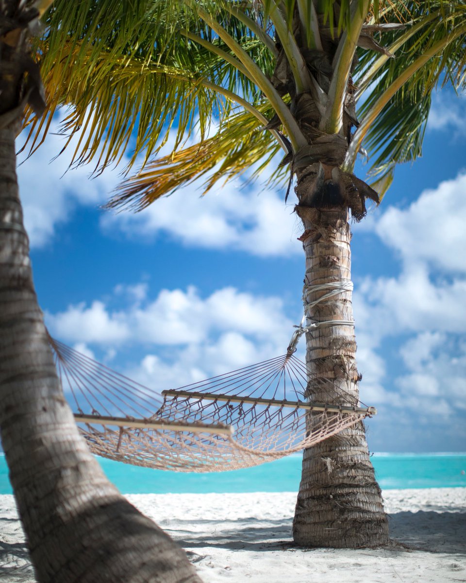 time_for_mum's tweet photo. It’s #HammockDay Here’s hoping you have managed to find 5 minutes to have some #metime today - even if it isn’t in quite such tropical surroundings!! #hammock #relax #timeformum #sunshine #lazysundays https://t.co/gjwCoVa7Mr