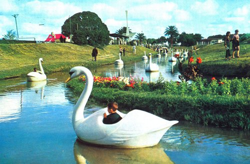 Para nostálgicos: los recordados cisnes de Parque Camet en la década del '70.
lacapitalmdp.com/contenidos/fot…