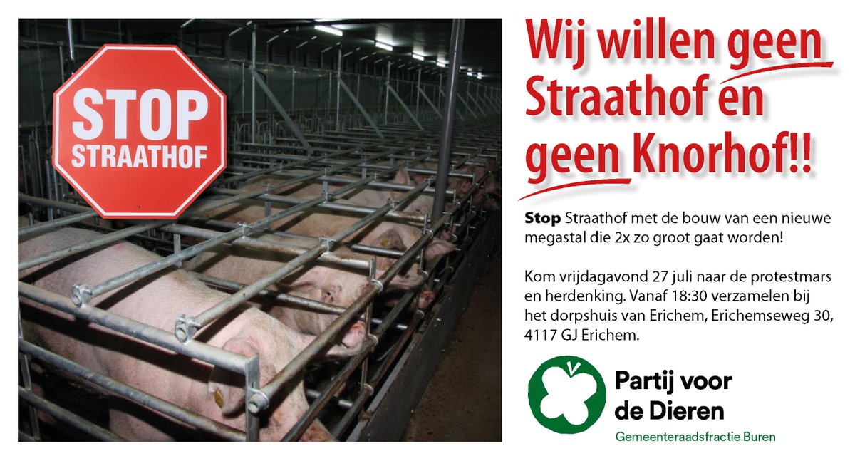 PvdDBuren tweet media
