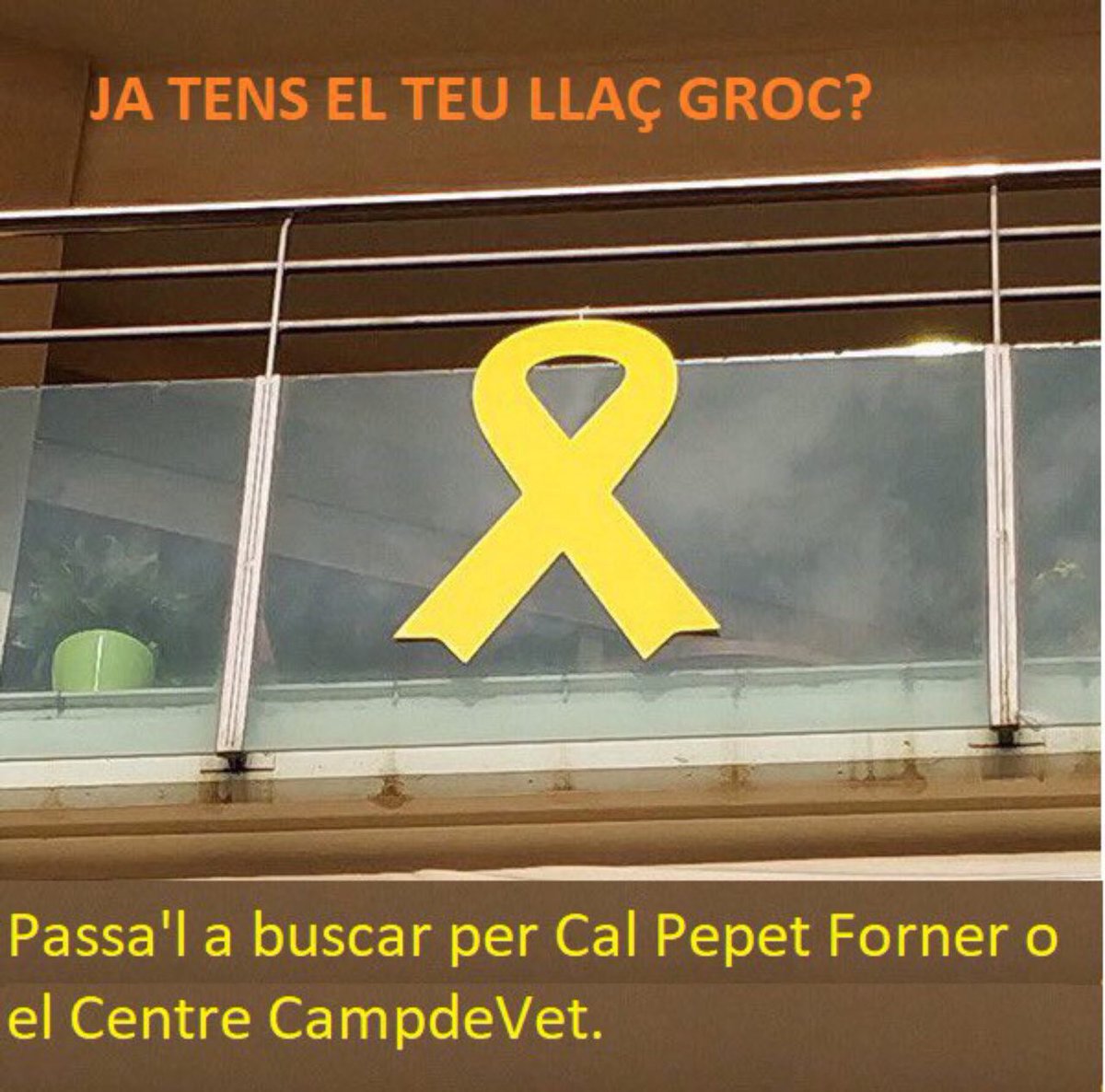 CDR|Campdevànol🎗 tweet media