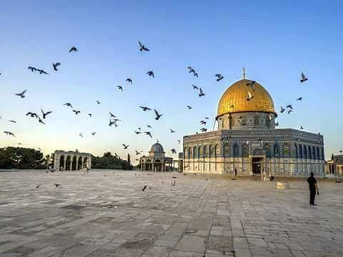 تعاتبني قباب القدس صمتا 
  و تنهرني مآذنها كذلك ..

و ما نحن يا قدسااه الا 
غثاء فامسحينا من خيالك ..

#اغضب_للاقصى 
#قروب_احرار_فلسطين