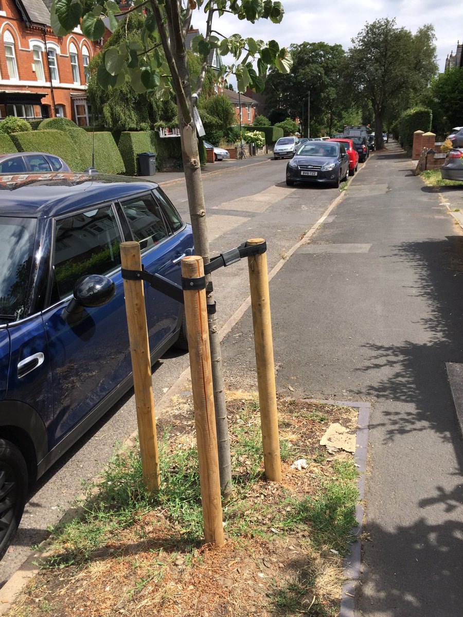 Izzy Knowles 🔶🇬🇧🇪🇺 🌎🕊️ tweet media