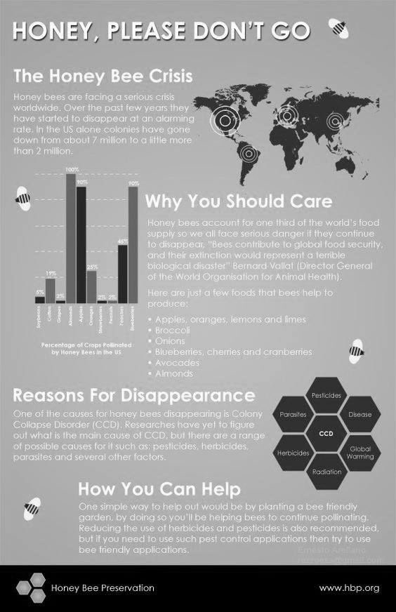 chefsebny's tweet photo. #savethebees #bees #beekeeping #polination #polinators #honey #honeybees #beehives https://t.co/HKLQjZmjPb