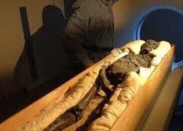 I thought this was a big ass philly cheesesteak