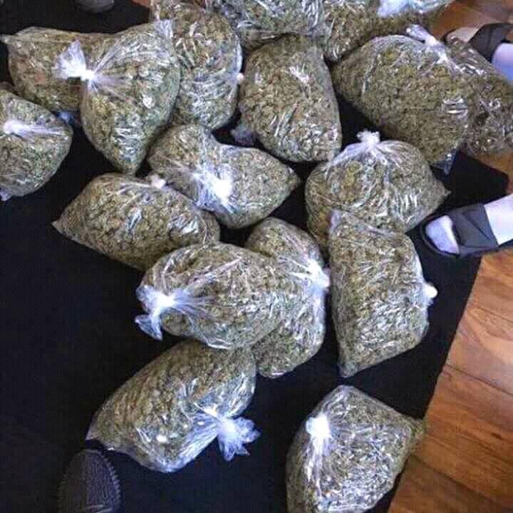 john19093294's tweet image. How much can you pay for this strain in your country....
#Team stay high. 
$$$$.never gone dry always full of some good buds.