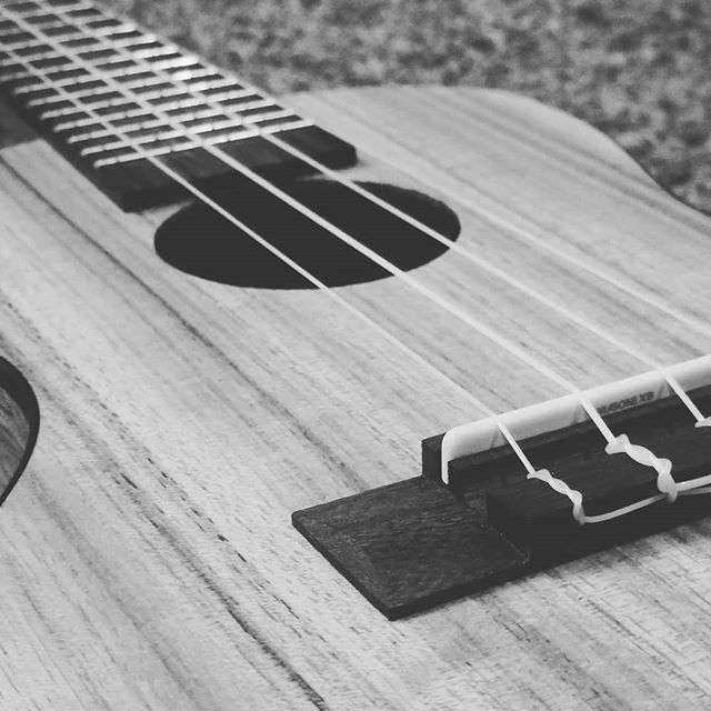 ukulelebeach's tweet photo. Uke it up!!! #ukulele #uke #music #walnut #concertuke #ukulelebeach https://t.co/dn8rtJW5FL https://t.co/GVnErdBo8S