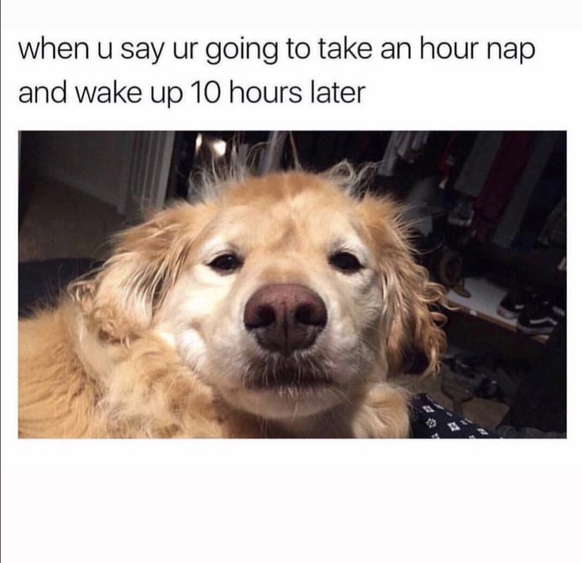 bsteffs's tweet photo. Literally me every Friday after work https://t.co/otZg8tzRYf