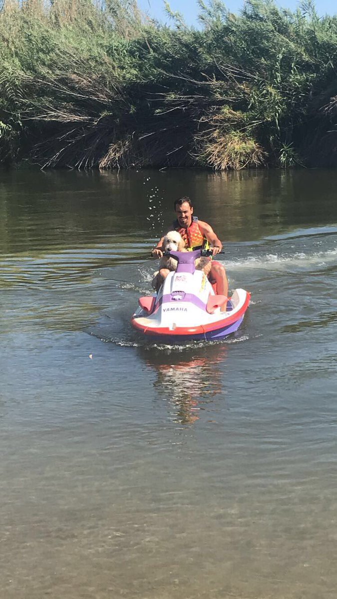 _allyavila's tweet photo. Today Zeus had his first hair cut and then 30 minutes later he rode a jet ski for the first time. It’s been a big day for this good boy 😍❤️ https://t.co/q2iYMJANSo