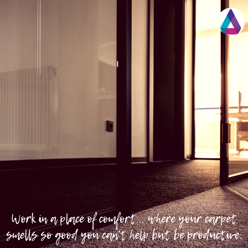 AsNewSC's tweet photo. Have a lovely week everyone! Call today to book your carpet cleaning for August! https://t.co/WWjh2kzSUK