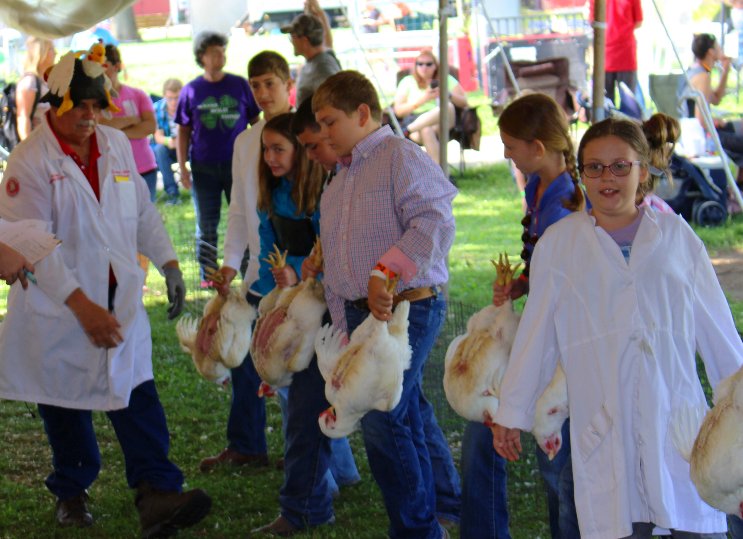 OSUEButlerCo's tweet image. Poultry Showmanship for Jr. Fair participants will begin at 9 am tomorrow morning! #gettothebcfair #ohiofairs