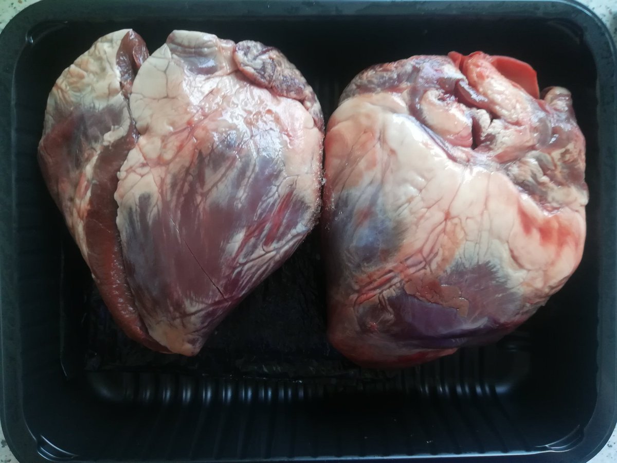 PinjaTheNinja's tweet photo. Nya matäventyr med hjärtan vol. 2!Denna gång blev det grishjärtan. Lite jobbigare att putsa än kycklinghjärtan, men absolut värt det! https://t.co/qw16a3W69P