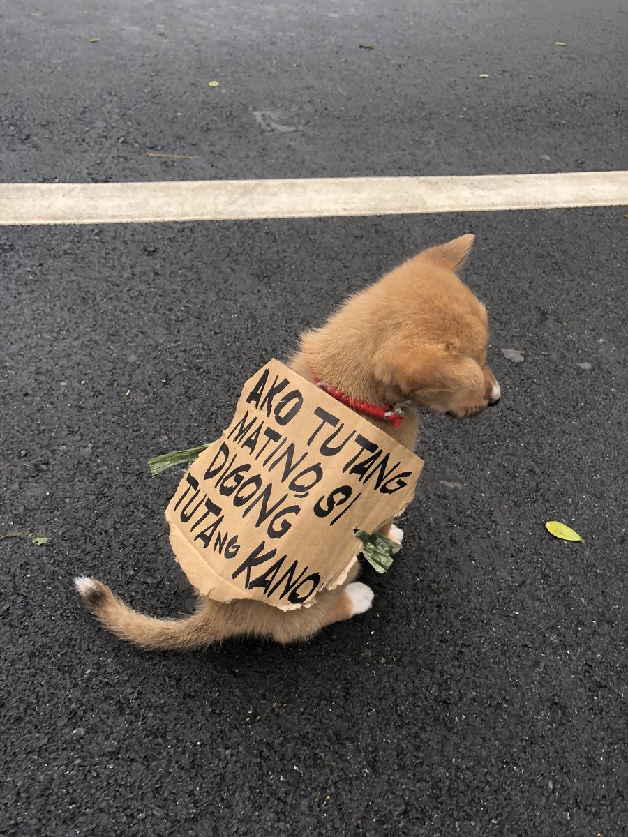 ABSCBNNews's tweet photo. Protesters in UP Diliman bring their dog named โMochaโ that carries a banner vs President Duterte | via @Jasmin_Romero #SONA2018 https://t.co/DUGG50l3Tq