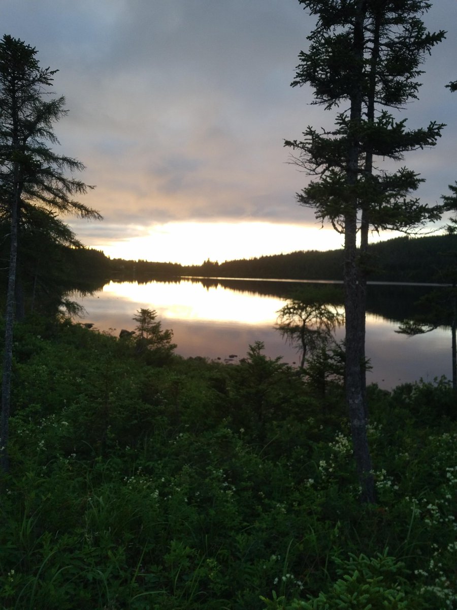 Massey_Drive's tweet photo. If you like the outdoors, you can't beat this. Tippigs Pond Trail @massey_drive https://t.co/yIfBmfeOiJ