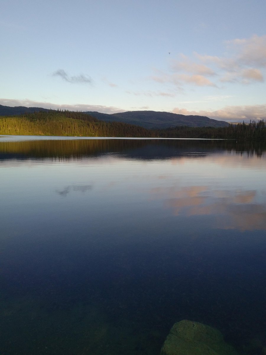 Massey_Drive's tweet photo. If you like the outdoors, you can't beat this. Tippigs Pond Trail @massey_drive https://t.co/yIfBmfeOiJ