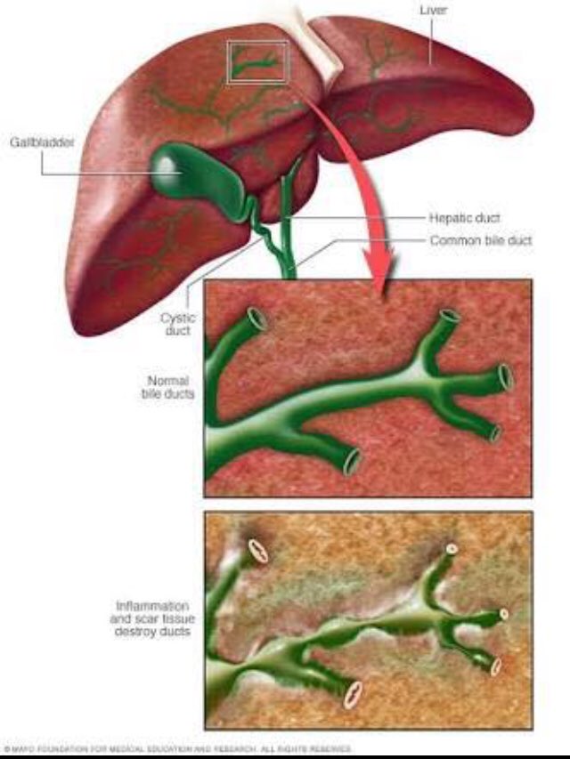 PSC Support Australia tweet media