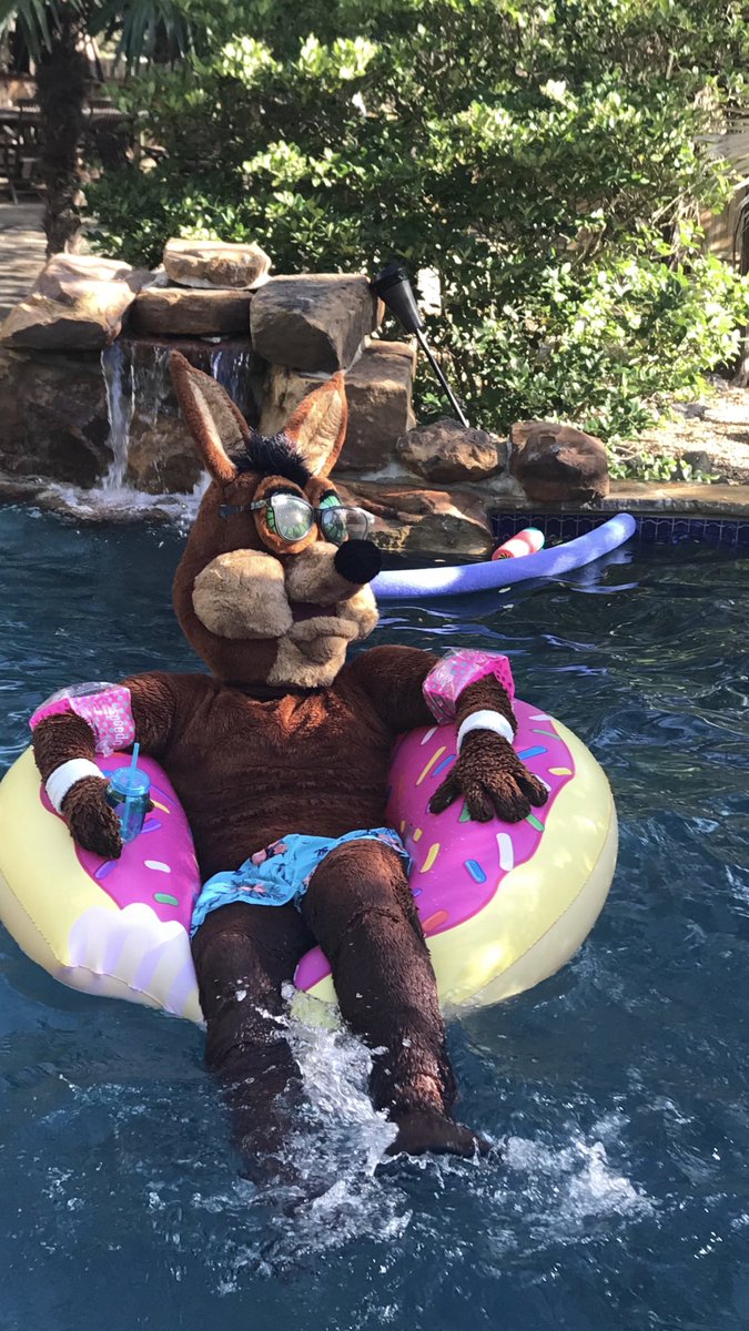 SpursCoyote's tweet photo. Stayin’ cool! https://t.co/35i9B4TxLo