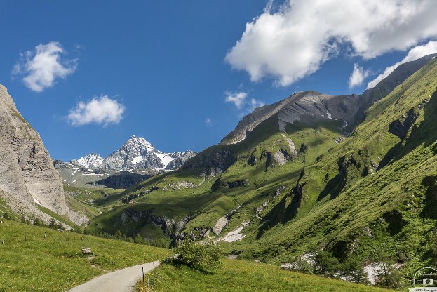 SkiAustria2017's tweet photo. Luxury Hiking Apartments for rent this summer #ski-austria.co.uk #Hinterthal #mariaalm #salzburgerland #hochkönig #Austria #summerholidays #vacationrentals #apartments https://t.co/g7QMKzgMrK