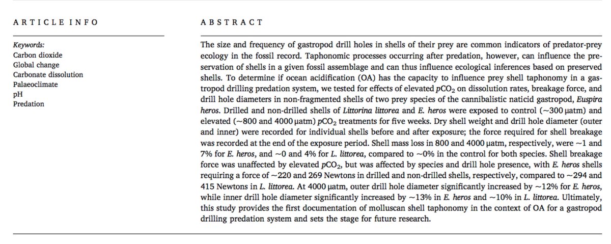 pdf conceptual modeling