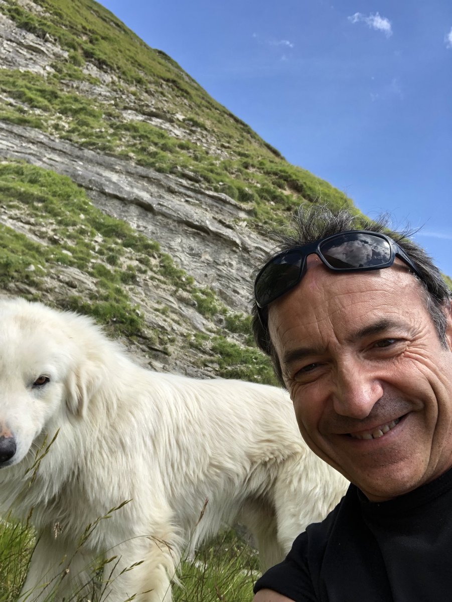 Fernandotraini's tweet photo. Amicizie in alta #quota #beautifuldog #BeautifulLife https://t.co/bQvG9r7kyA