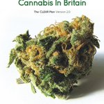 Image for the Tweet beginning: 'How To Regulate Cannabis In