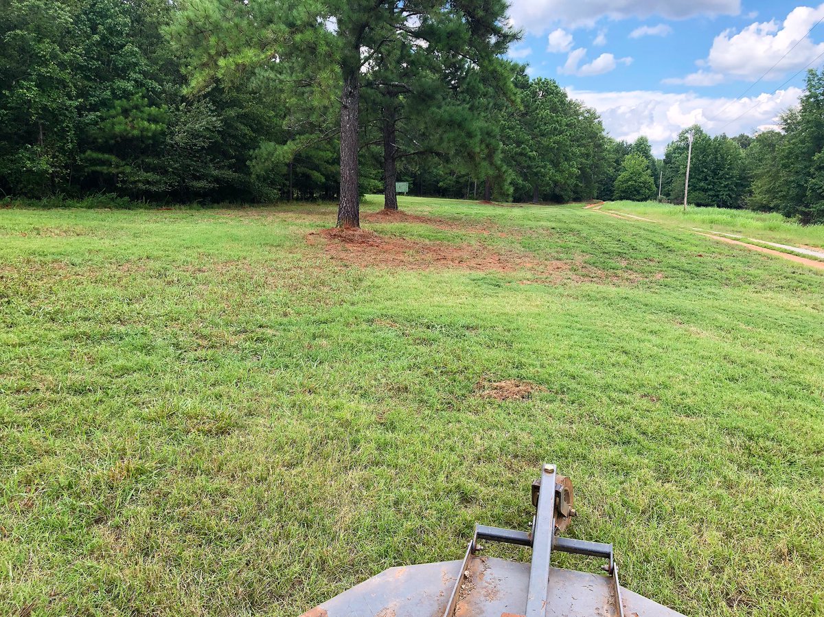 DebbieOutdoors's tweet image. One section down, one to go.💁🏼‍♀️🚜💖 #FarmLife #BushHogging #TractorTime #Kryptek #KryptekLadiesLegion #LadiesOfKryptek #ItsInMyNature #TeamCabelas #NWTF #DEGC #BassPro #Cabelas #SpentRoundsDesigns