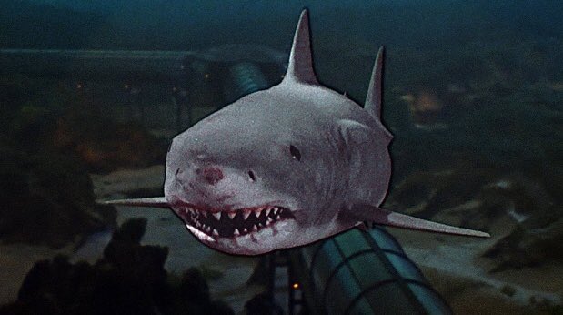 thedailyjaws's tweet photo. As #Jaws3DWeek ends - celebrating 35 years since the release of #Jaws3D - it seems almost perfect timing that it’s the start of #SharkWeek. #Jaws 3D is like Marmite, some love it, others hate it. Here’s our retrospective review
https://t.co/8Ns2NKbMFX https://t.co/LznCxJjDll