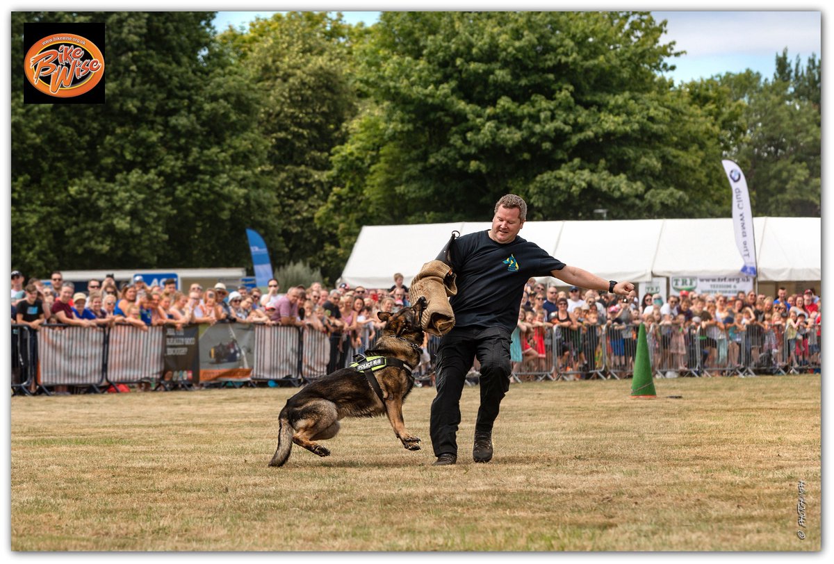 Grant Humphrey tweet media