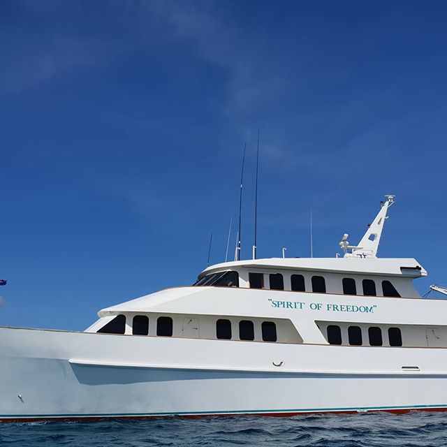 MarcelRSchwarz's tweet photo. My home for the next 4 days - the "Spirit of Freedom" - ready to explore the great barrier reef! #diving #liveaboard #greatbarrierreef #divingtrip #divinglife #liveaboards #boatlife #scuba #liveaboarddiving #liveaboardlife  #greatbarrierreefcairns #naturelover #divingboard #seasc https://t.co/p8lzllU1DF