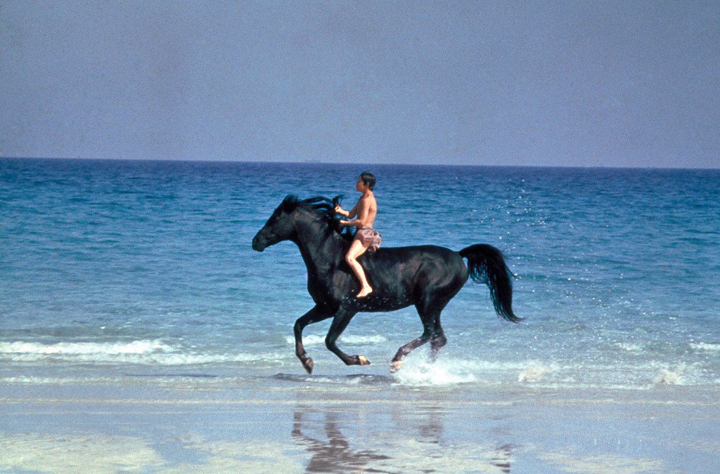 ellesacheval's tweet photo. 7 películas que todo amante de los caballos tiene que ver https://t.co/KMrvJOngI8 https://t.co/NMOp6Hcm6v