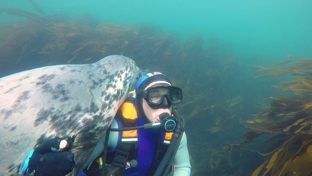 Sealdiver's tweet photo. 100% trust in my #divebuddy 
#watchingmyback

@BeaverSportsUK @AquaLungDivers @APDiving @farnesdiving @DivingCentreNE https://t.co/w7ORwNEfKF