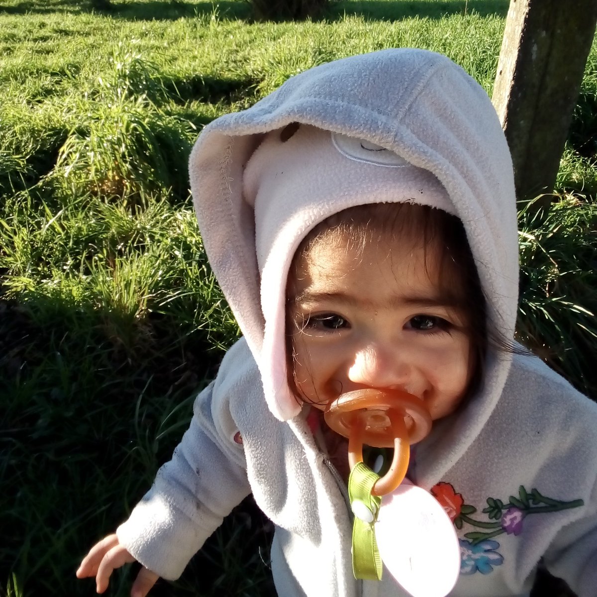 romywolf151's tweet image. #NuevaFotoDePerfil