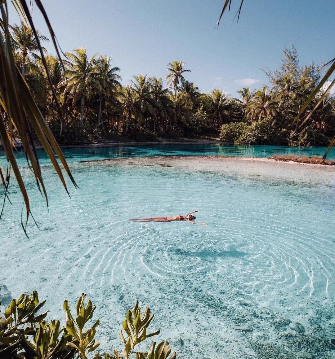 TravelsPixs's tweet photo. Bora Bora 🌴 https://t.co/J3fhZZaaSH