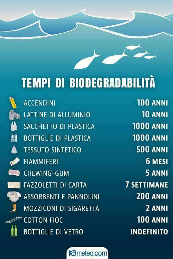 Legambiente_Ct's tweet photo. OGNI VOLTA CHE VEDI PLASTICA IN SPIAGGIA O FRA LE ONDE RACCOGLILA! 

Immagina... lo stesso gesto ripetuto per 100, 1000, 10 mila volte e... puliamo il mondo!!! https://t.co/msKxBEP4Cu