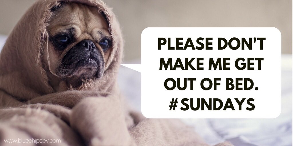 BlueChip_Dev's tweet photo. “A #Sunday well spent brings a week of content”.  #SundayMotivation #quotestoliveby #SleepySunday #quotesoftheday https://t.co/DRMs0yYzCV