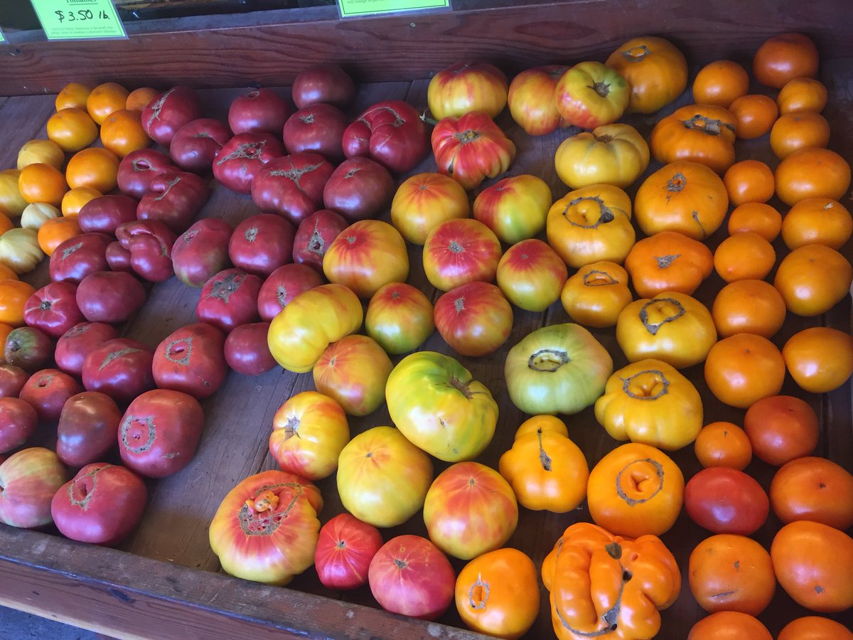 MicheleTell's tweet photo. Endless varietals of #Tomatoes #roadsidefarms #tomato-love fresh #salsa in my near future! https://t.co/F5pd4KXx34