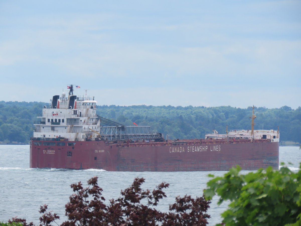 PrescottAnchor's tweet photo. 22 July 2018 up #StLawrenceSeaway at Prescott ON 13h22 CSL Niagara SDBC flagged Canada for @ThunderBayPort ON #CSLNiagara #CSL https://t.co/C5ujLPJAkz
