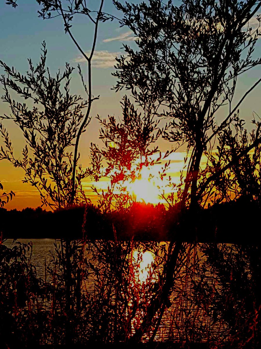 KimBrand10's tweet photo. Evening sun https://t.co/w7SfrEiErw